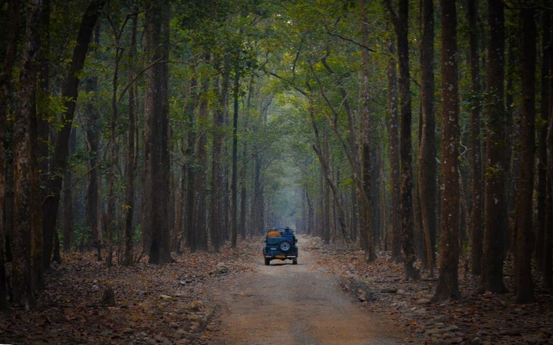 Jim Corbett Tour Package From  Hyderabad