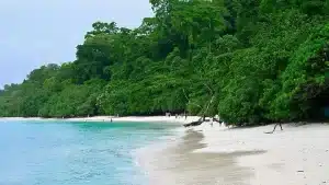 Andaman Nicobar Islands Package