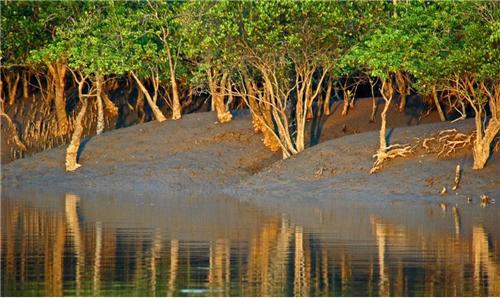 Sunderbans Tour Package 2 Nights And 3 Days