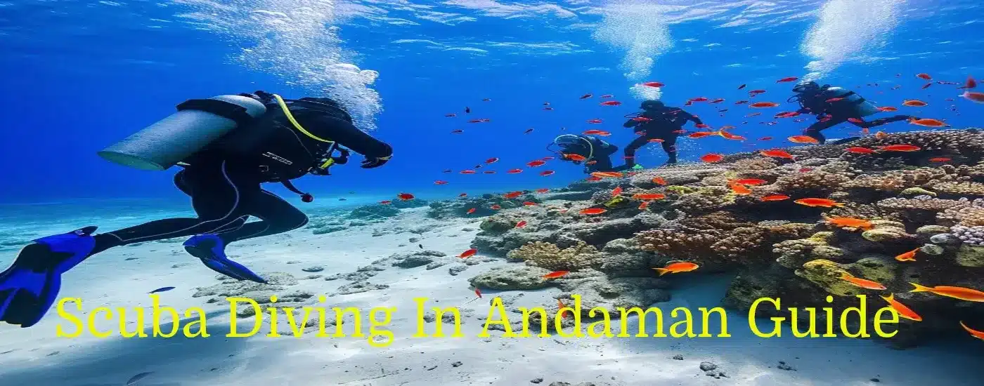 Scuba Diving In Andaman Guide