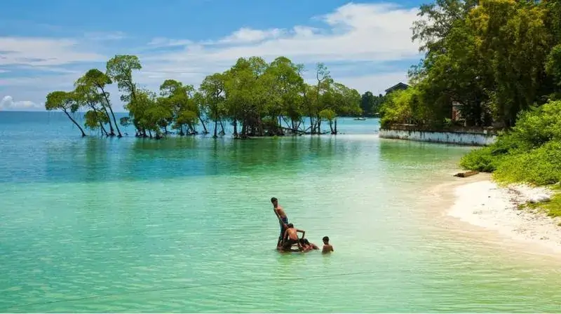 5 nights 6 days Andaman Tour Packages