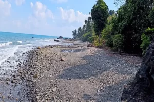8 nights 9 days Andaman Tour packages
