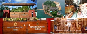Chatham Saw Mill