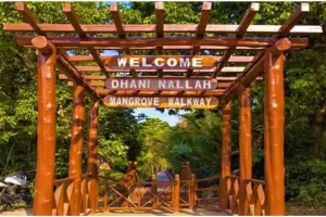 Dhani Nallah Mangrove Walkway