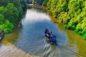 Mangrove Creeks And Lime Stone Caves
