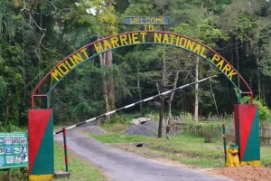 Mount Harriet National Park