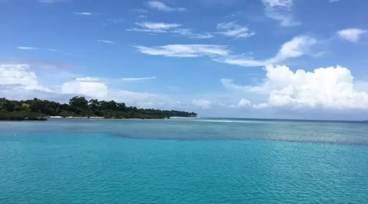 Neil Island