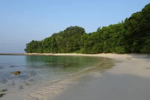 Radhanagar Beach