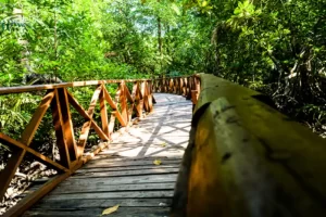 Yerrata Mangrove Walkway