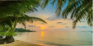 Andaman Weather in August