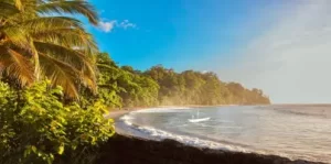 Andaman Weather in  January