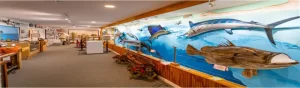 Fisheries Museum