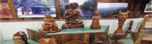 Forest Museum