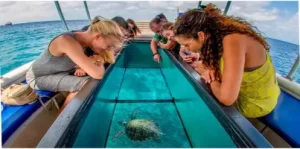 Glass Bottom Boat Ride in Andaman