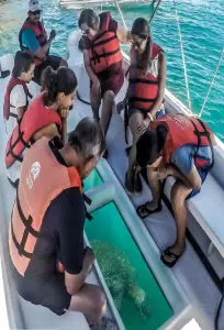 Glass Bottom Boat Ride in Andaman