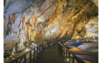 Mangrove Creeks And Lime Stone Caves