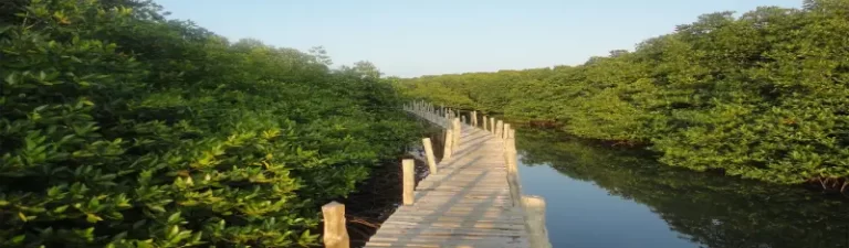 Rangat Island
