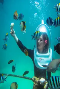 Snorkeling in Andaman