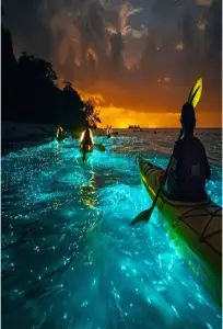 kayaking in andaman
