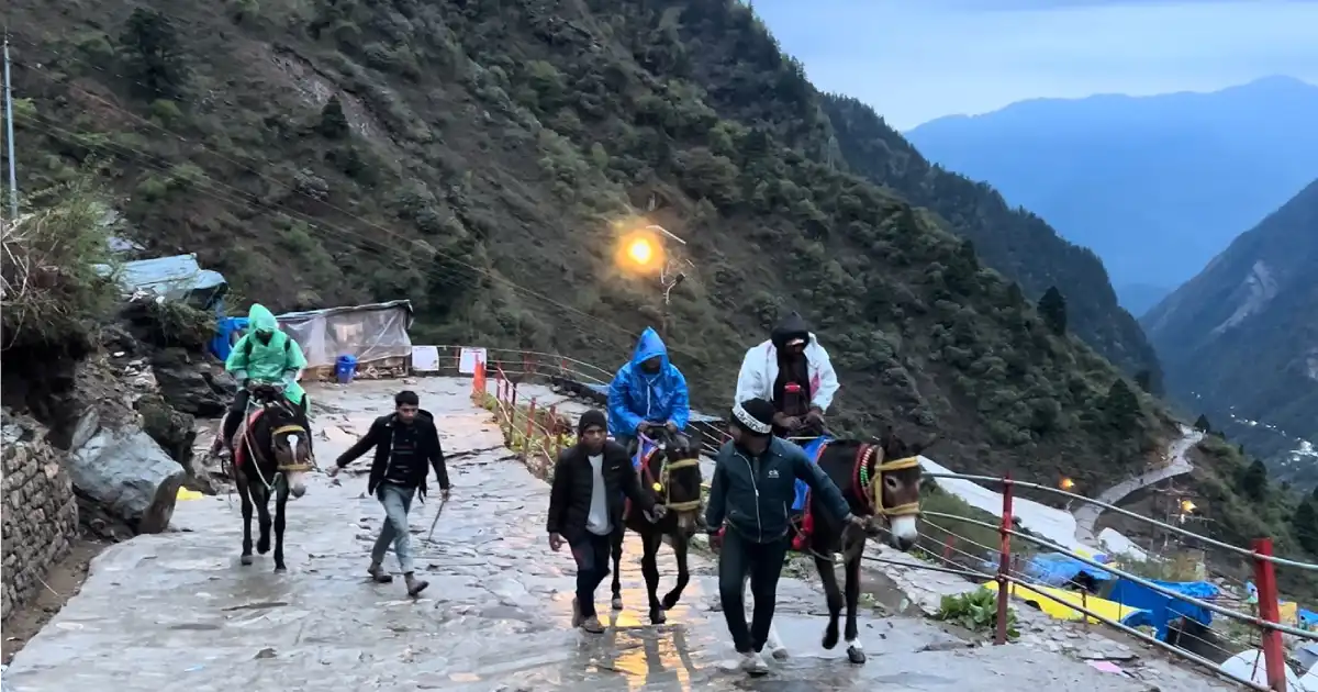 Kedarnath Trek Guide 2026 distance route difficulty level trail map high altitude pilgrimage Uttarakhand Gaurikund to temple